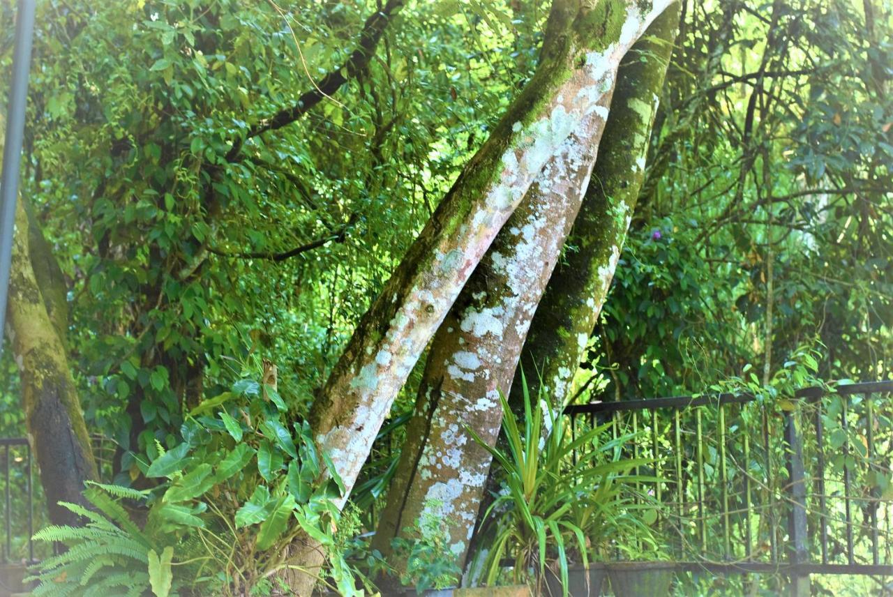 Samadhi Nature Resort Ella Luaran gambar