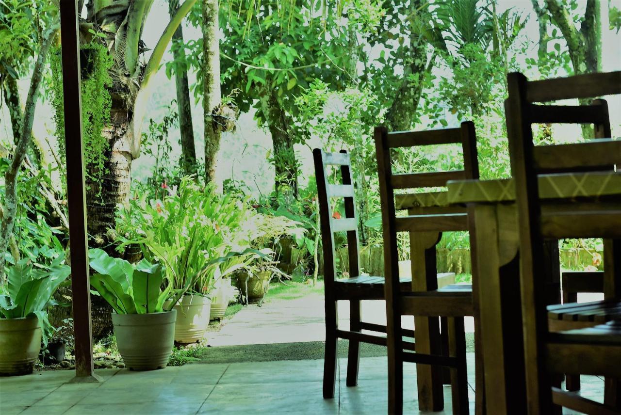 Samadhi Nature Resort Ella Luaran gambar