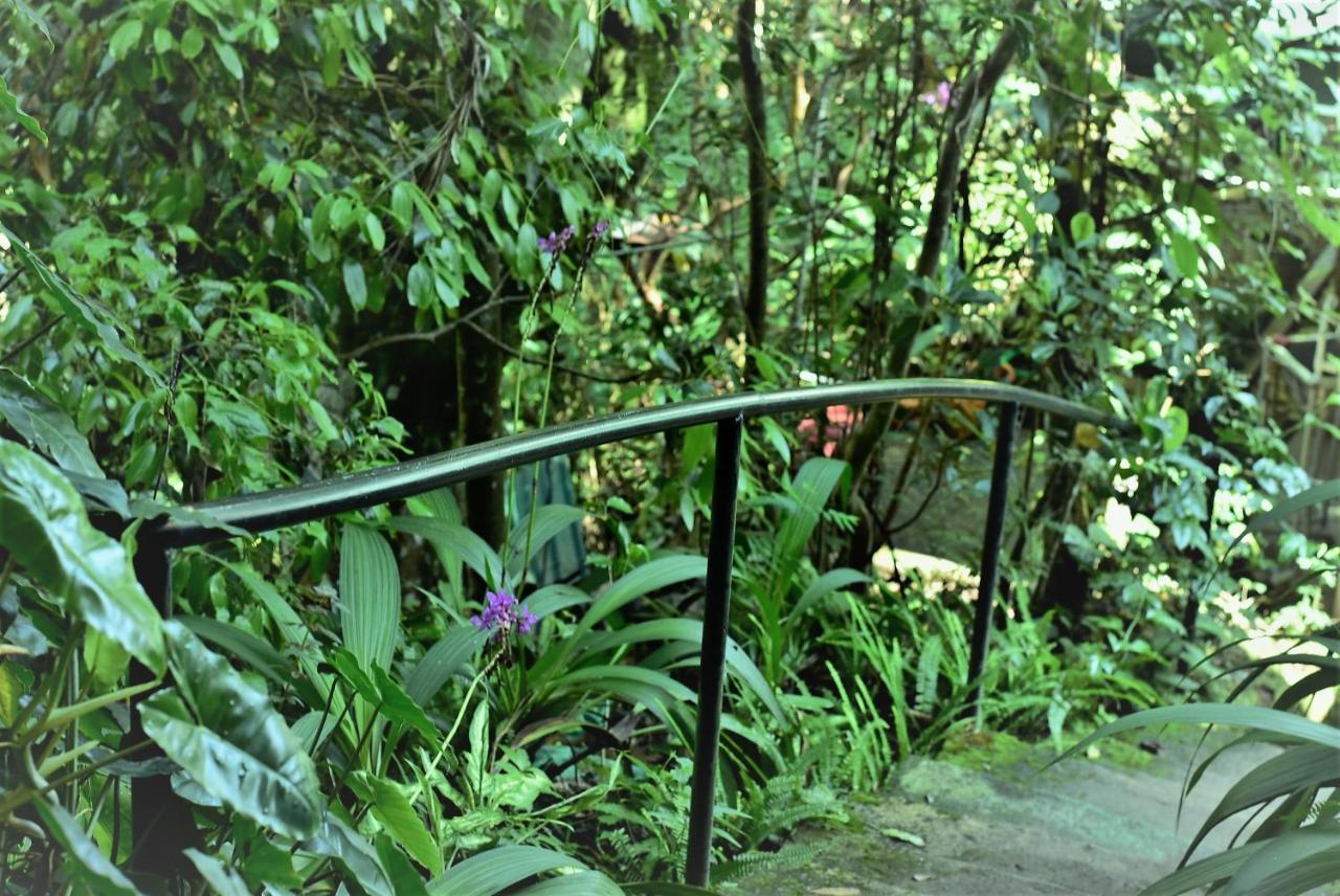 Samadhi Nature Resort Ella Luaran gambar