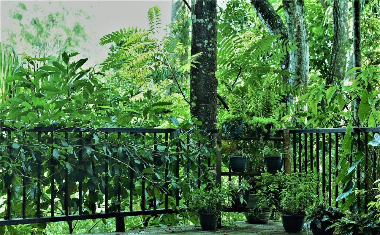 Samadhi Nature Resort Ella Luaran gambar