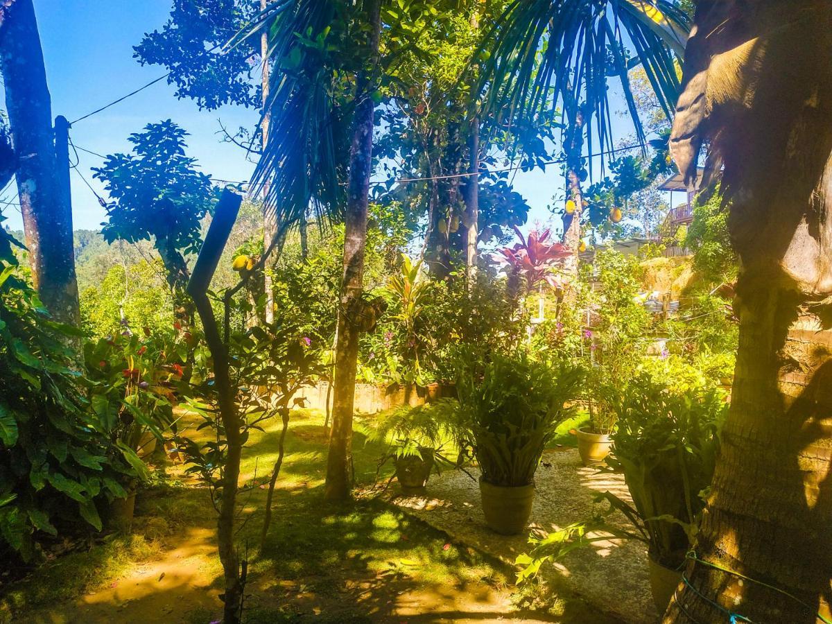 Samadhi Nature Resort Ella Luaran gambar