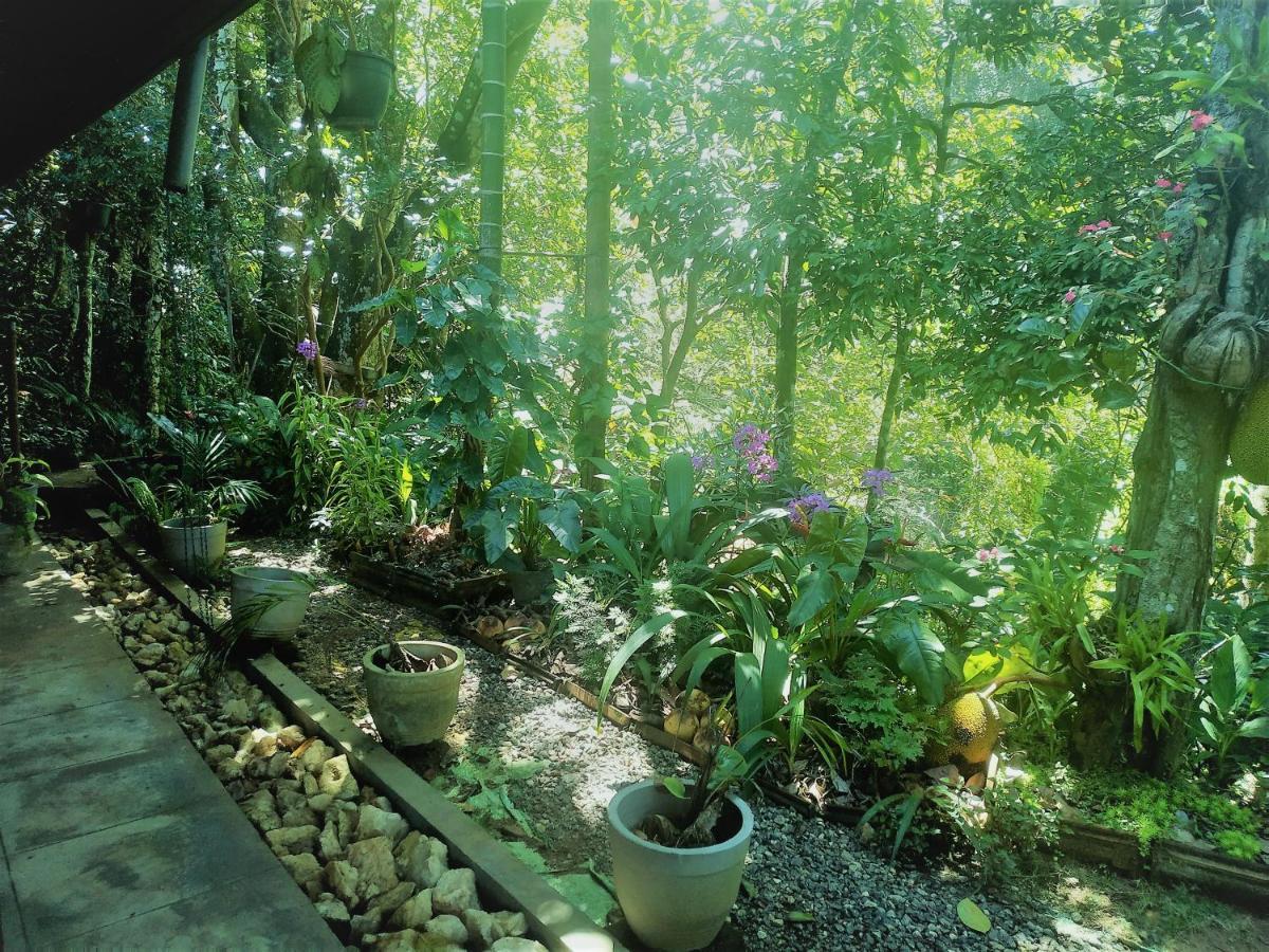 Samadhi Nature Resort Ella Luaran gambar