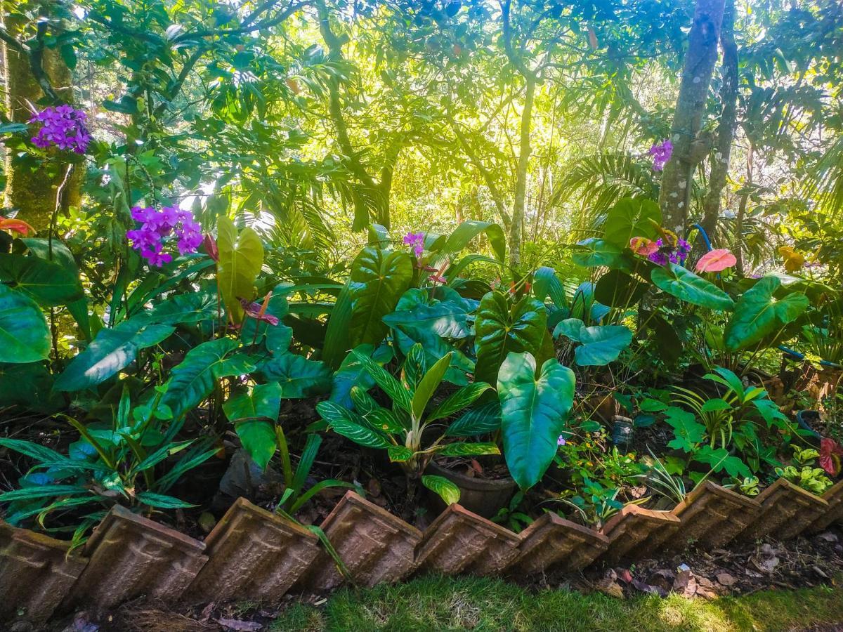 Samadhi Nature Resort Ella Luaran gambar