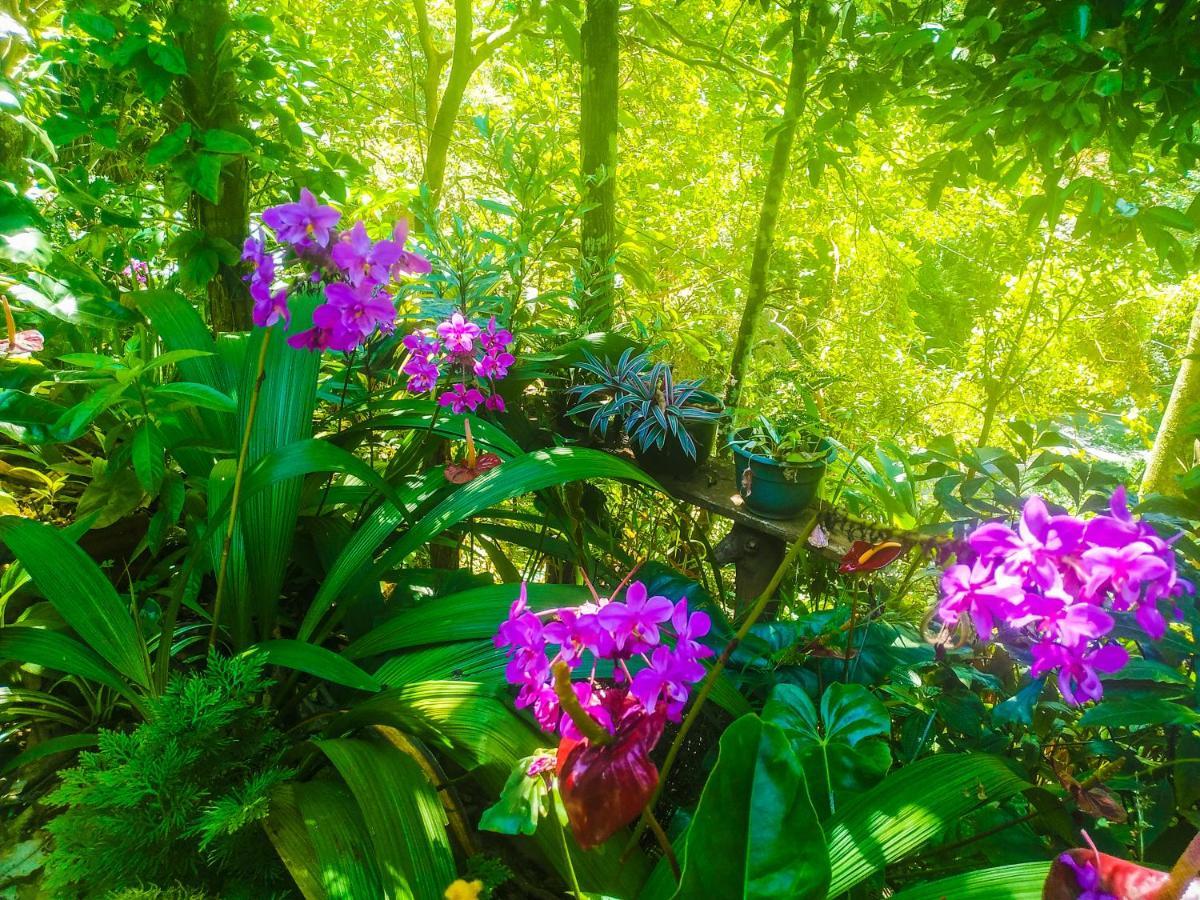 Samadhi Nature Resort Ella Luaran gambar
