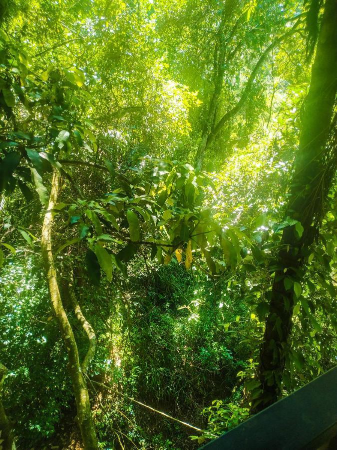 Samadhi Nature Resort Ella Luaran gambar