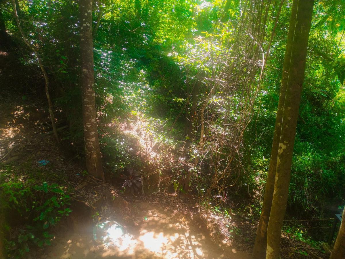 Samadhi Nature Resort Ella Luaran gambar