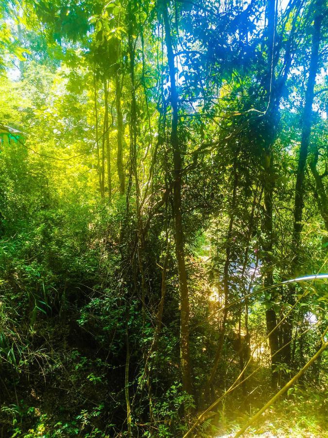 Samadhi Nature Resort Ella Luaran gambar