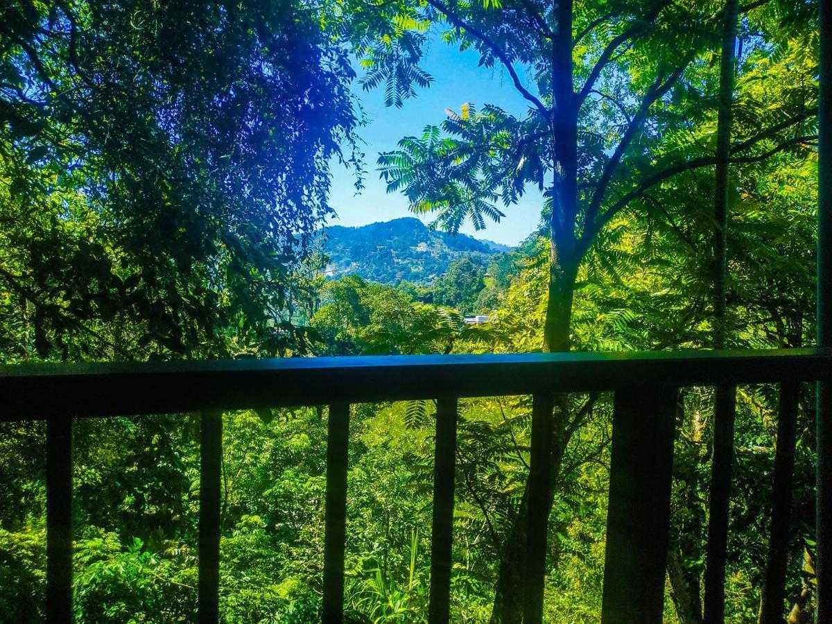 Samadhi Nature Resort Ella Luaran gambar
