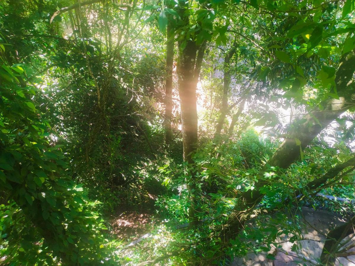 Samadhi Nature Resort Ella Luaran gambar