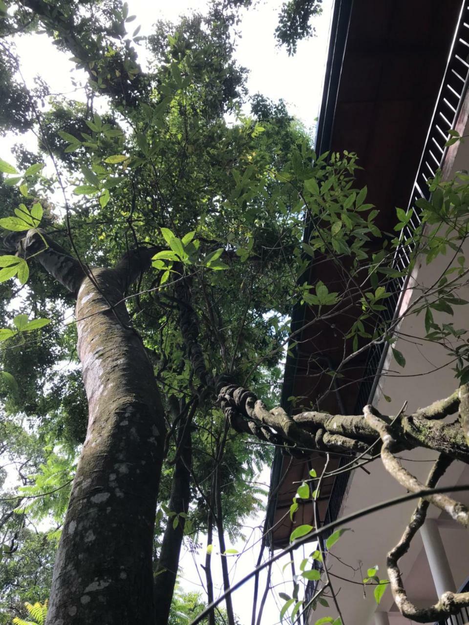Samadhi Nature Resort Ella Luaran gambar
